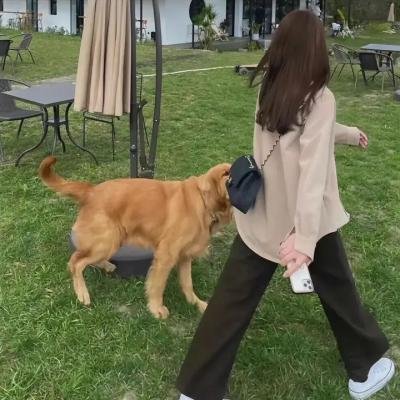 校友春心